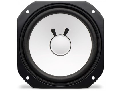 AV10 Woofer