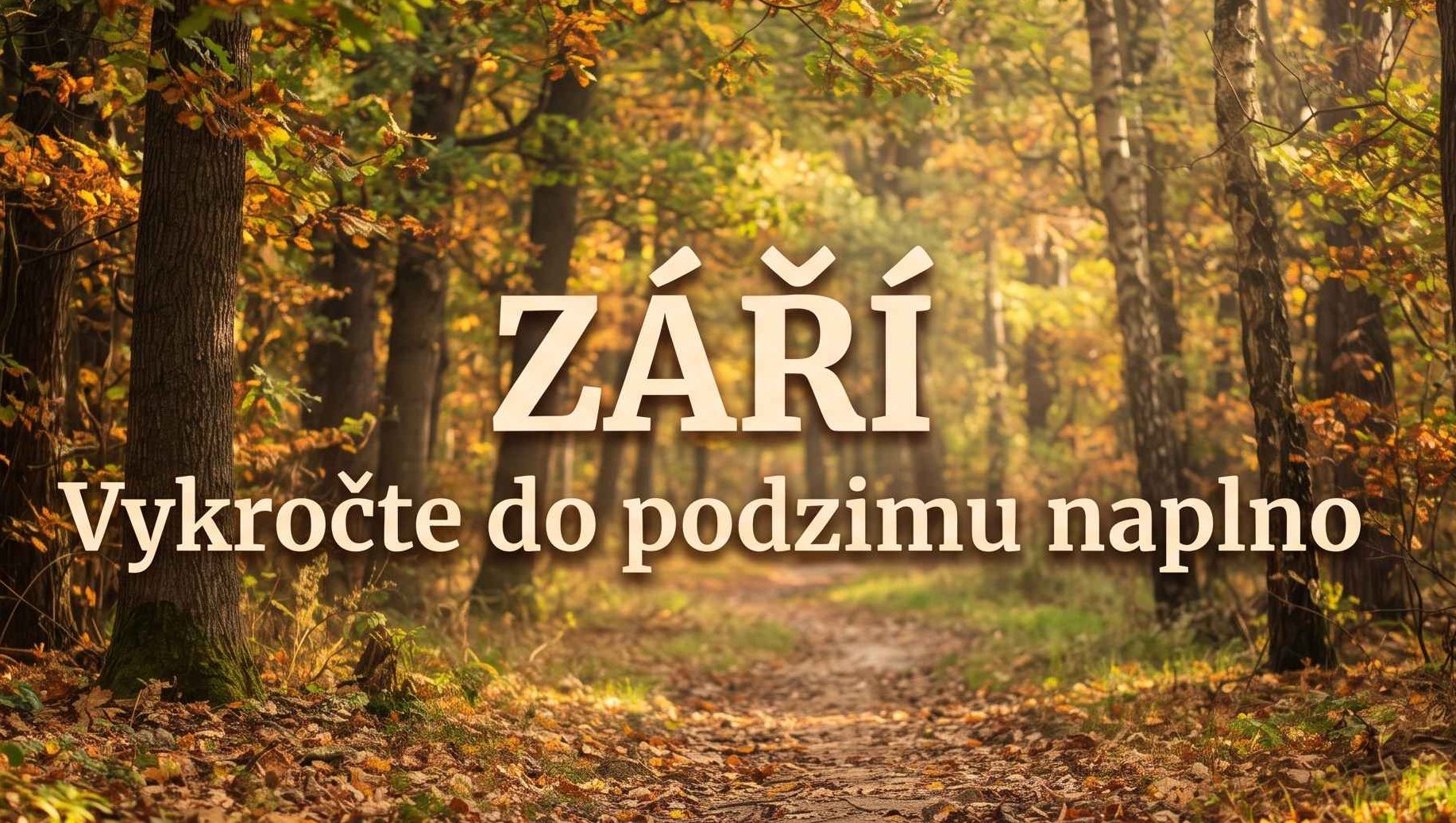 Velké zářijové akce ve Vitadenu: Slevy, akce 1+1 a dárky k nákupu! 🍂