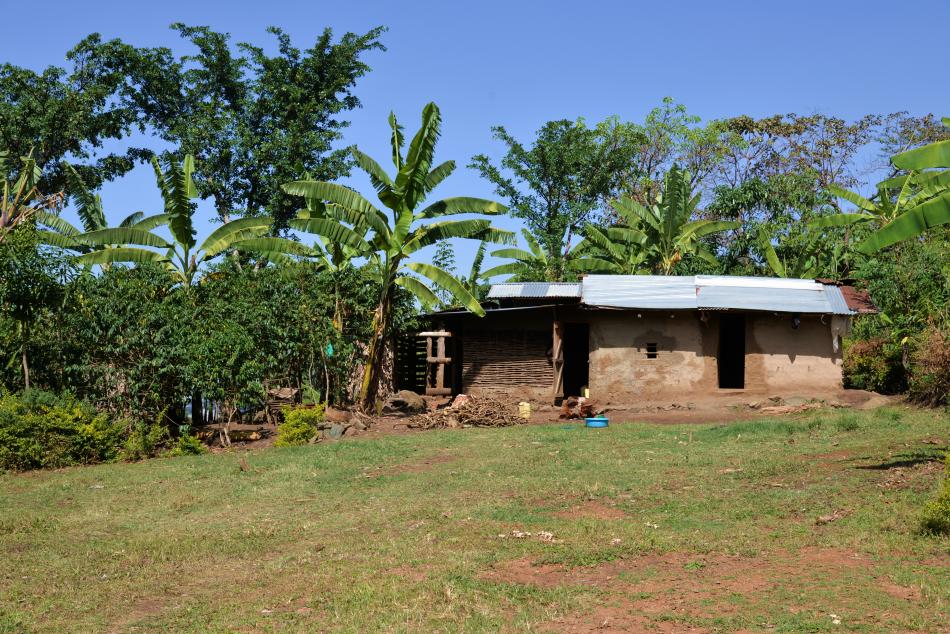 Africká královna 2