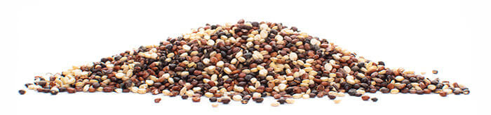 Quinoa barevná - z boku