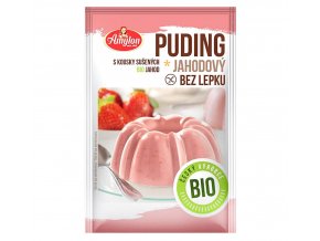 Bio Puding jahodový Amylon 40g