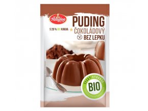 Bio Puding čokoládový Amylon 40g