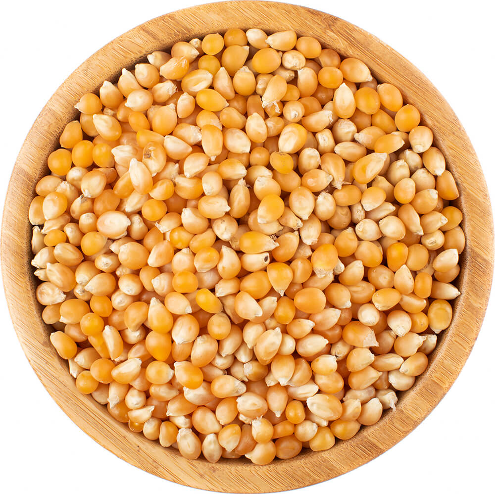 Vital Country Kukuřice na popcorn BIO Množství: 1000 g