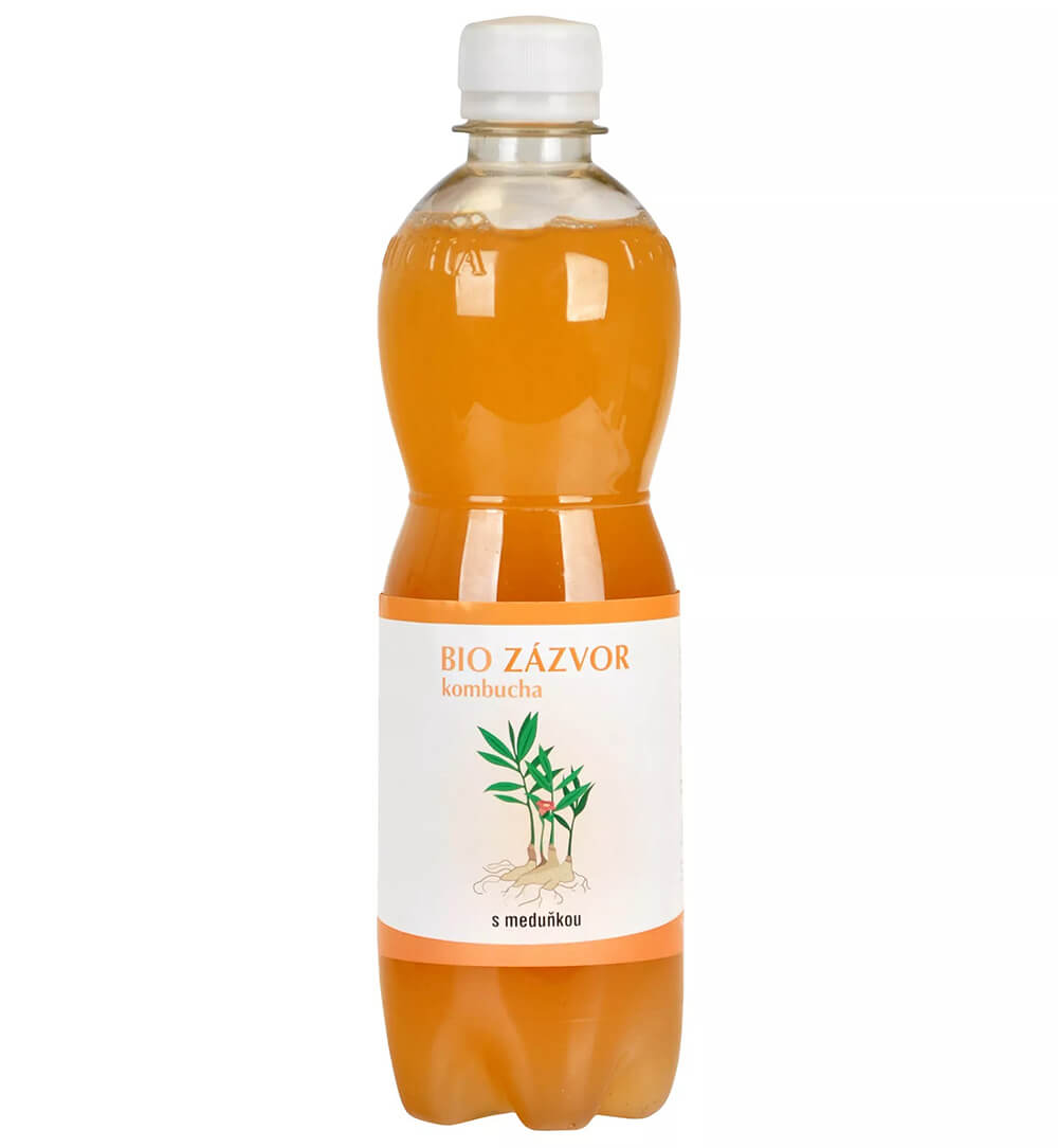 Stevikom Kombucha zázvorová s meduňkou BIO 500 ml