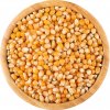 Kukuřice na popcorn BIO Vital Country