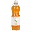 Kombucha zázvorová s meduňkou BIO 500 ml