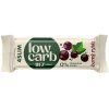 LOW CARB černý rybíz 35g
