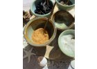 Vitašok barevné varianty - Paví oko, Avokádovník, Modrá spirulina, Citrusák, Borůvka