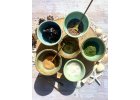 Vitašok barevné varianty - Paví oko, Avokádovník, Modrá spirulina, Citrusák, Borůvka