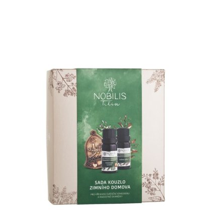 Sada kouzlo zimního domova