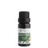 e1028b pomeranc sladky 10 ml 8595100202628 1739800984