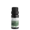 Nobilis Tilia éterický olej Limetka (varianta 10ml)