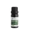 Tea tree (čajovník) 20 ml (varianta 20 ml)