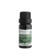 Bio Eukalyptus radiata 10 ml (varianta 10 ml)