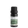 Eukalyptus citronovonný 20 ml (varianta 20 ml)