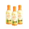 Trojbalenie Forever Aloe Mango nápoja 3x1 L