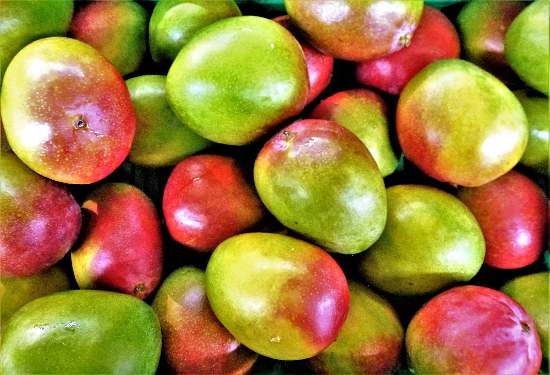 Africké mango