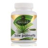 Saw Palmetto Golden Nature