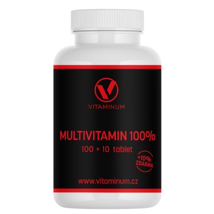 MULTIVITAMIN 100% 110