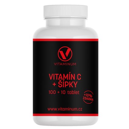 VITAMÍN C + ŠÍPKY 110