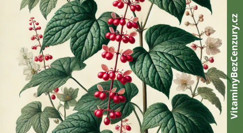 Klanopraška čínská