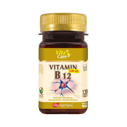 Vitamin B12 (120 tbl.)