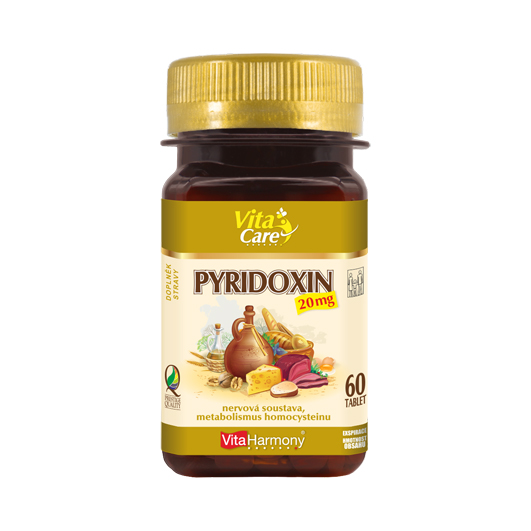 Pyridoxin 20 mg (60 tbl.)