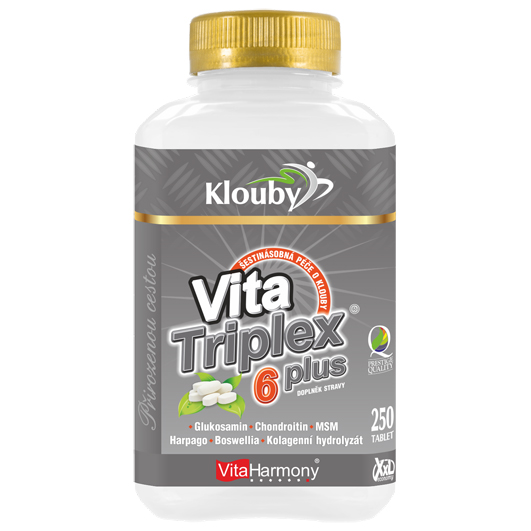 XXL VitaTriplex® 6 PLUS (250 tbl.)
