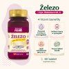 ZelezoKysListVitC 60 1024