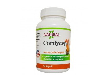 Cordyceps