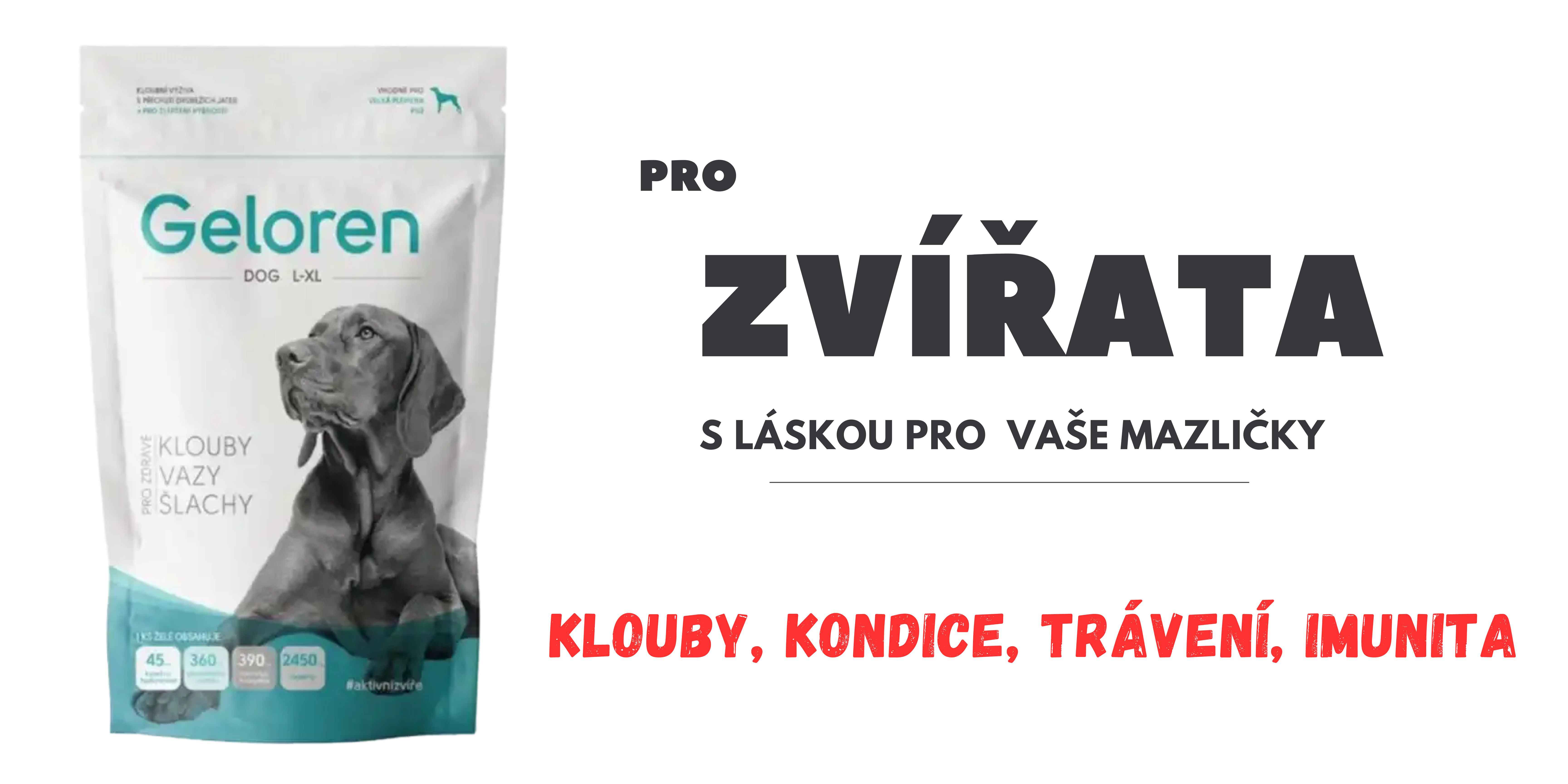 Pro zvířata