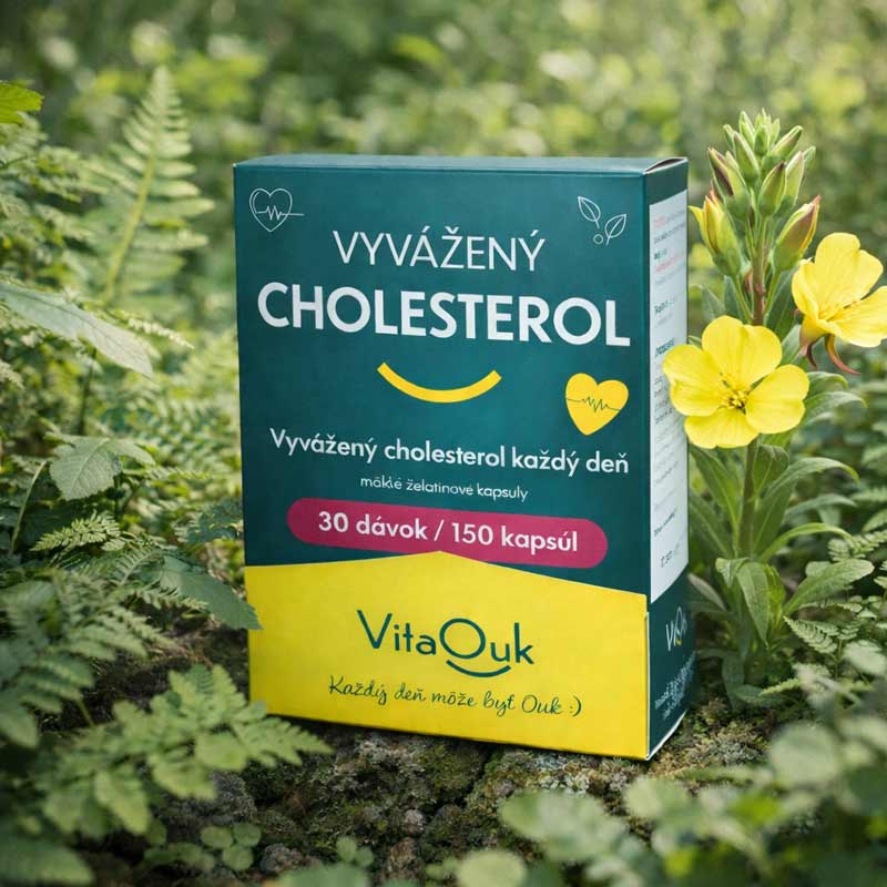 cholesterol-VitaOuk-premium-formula
