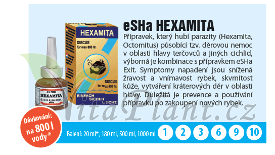 eSHa hexamita