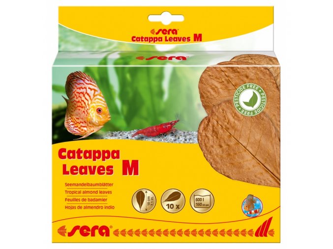 sera catappa leaves m 18 cm 10ks