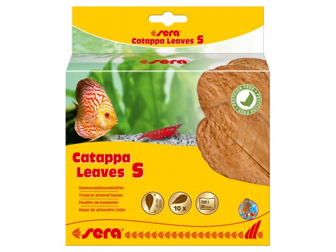 sera catappa leaves s 14 cm 10ks