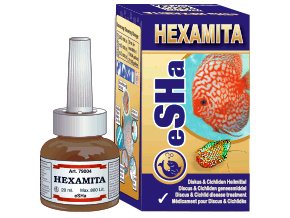 hexamita