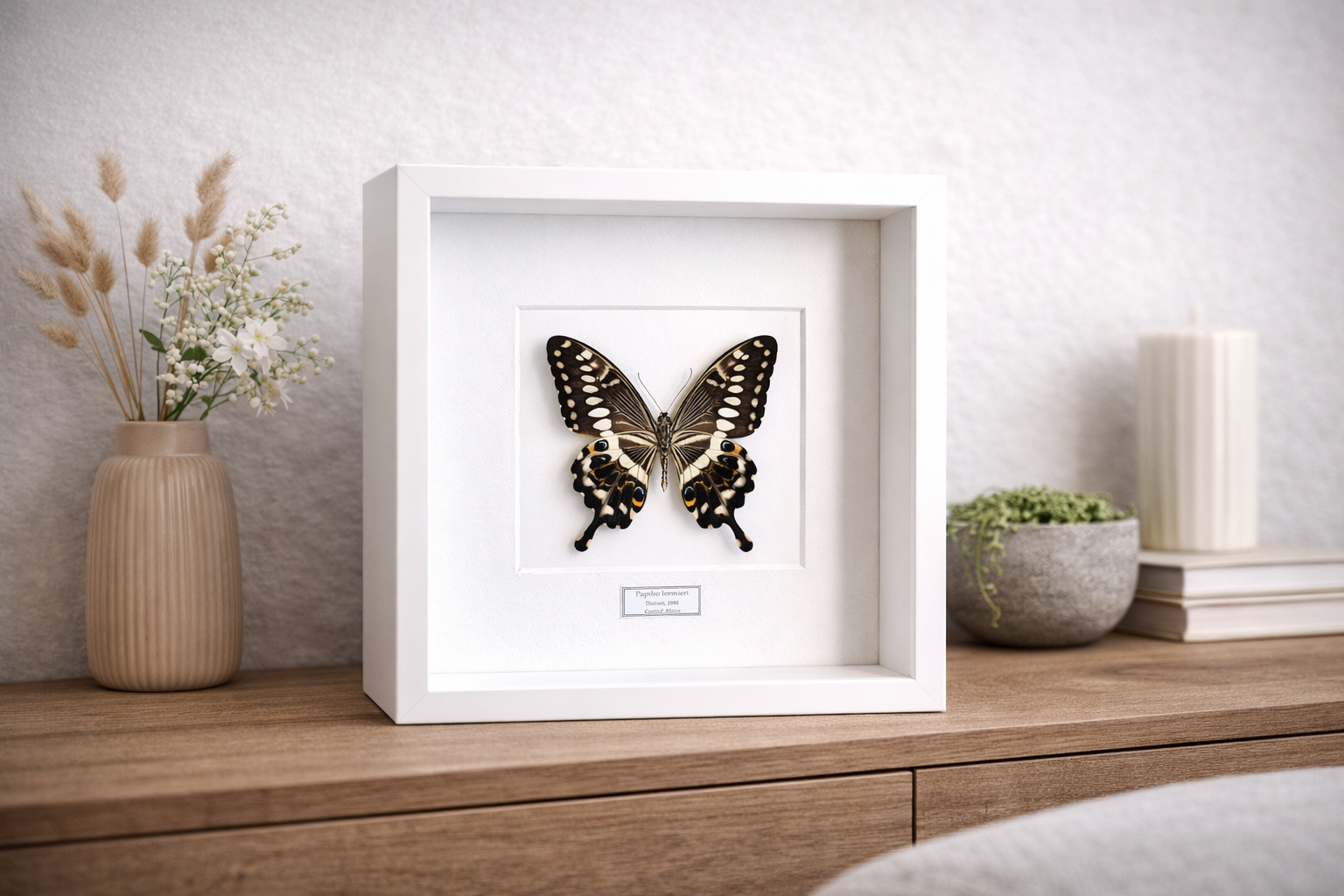 BF1B7CBD-492A-4C61-8770-202C7D71855B