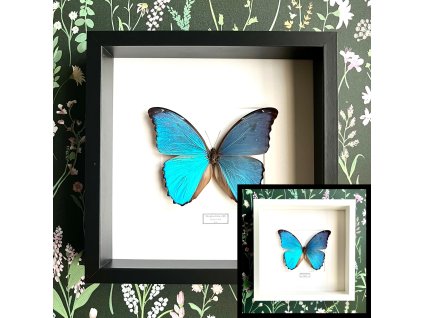 Dizajn bez názvu.zip 23