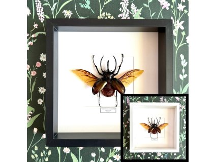 Dizajn bez názvu.zip 9