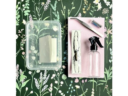 Nephila pilipes - entomologický set