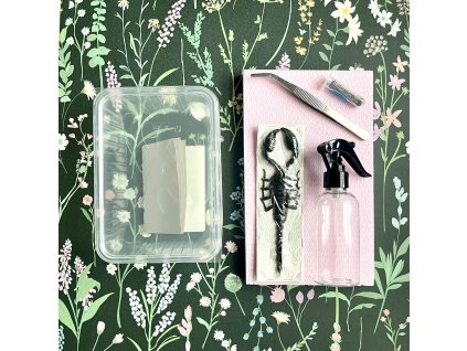 Škorpión Heterometrus - entomologický set