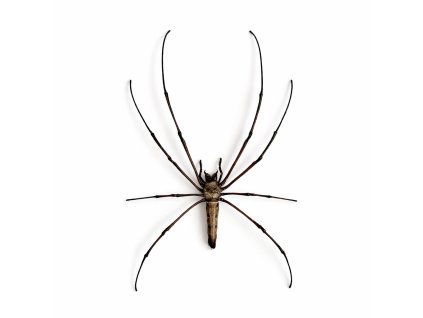 13AD991B 7641 4808 807C 0F1BD33BBF95