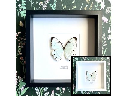 Dizajn bez názvu.zip 26