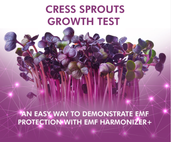 Effects of EMF radiation on the growth of cress sprouts