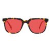 KUGO Stanton Tortoise Front Sunset New