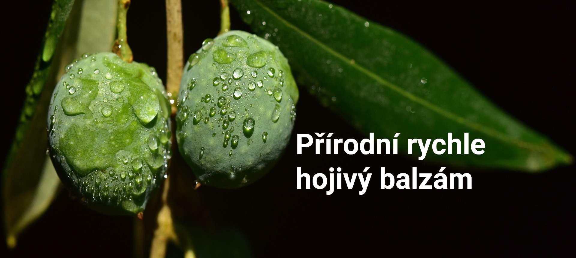 Vitavia  - Rychle hojivý balzám