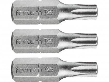 hrot TORX, sada 3ks, T 25x25mm, S2