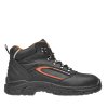 FORTIS S3 High