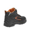 FORTIS S3 High