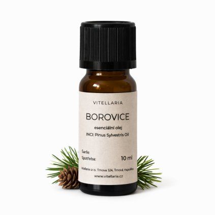 borovice